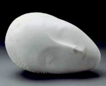 Close-up of a white seashell with a smooth, curved surface.